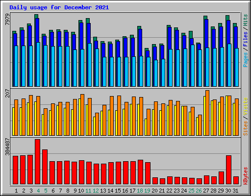 Daily usage for December 2021