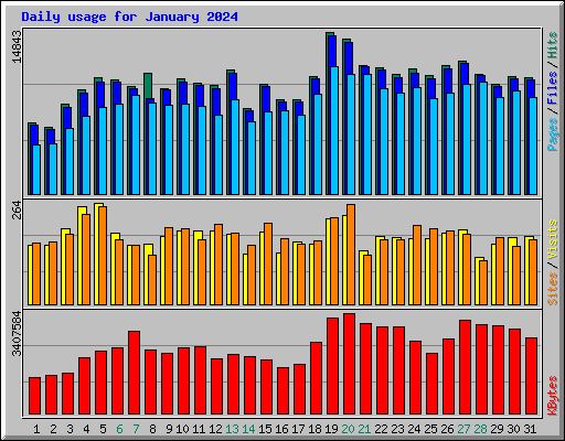 Daily usage for January 2024