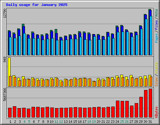 Daily usage for January 2025