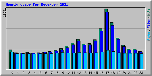 Hourly usage for December 2021