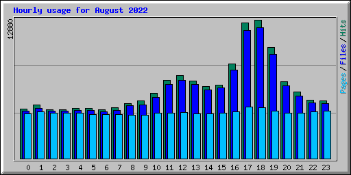 Hourly usage for August 2022