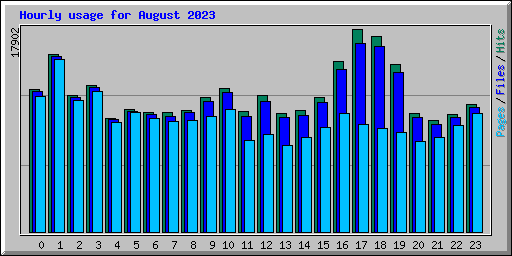 Hourly usage for August 2023