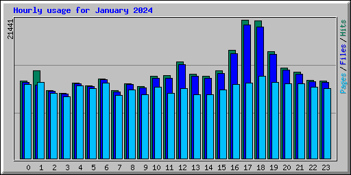 Hourly usage for January 2024