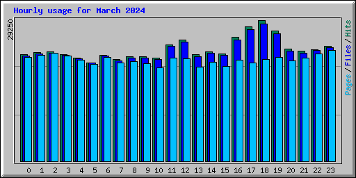 Hourly usage for March 2024