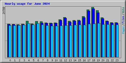 Hourly usage for June 2024
