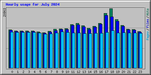 Hourly usage for July 2024