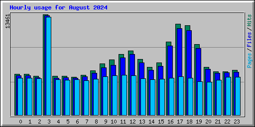 Hourly usage for August 2024