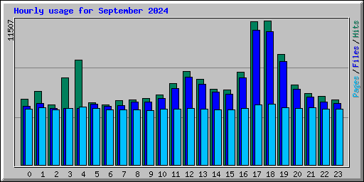 Hourly usage for September 2024