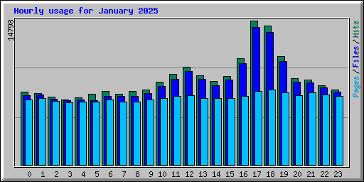 Hourly usage for January 2025