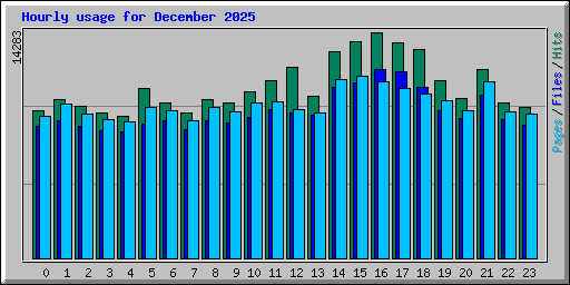 Hourly usage for December 2025